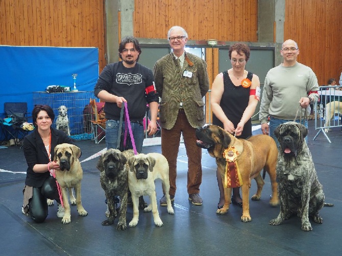 1ers résultats en expo: Fiers de nos bébés